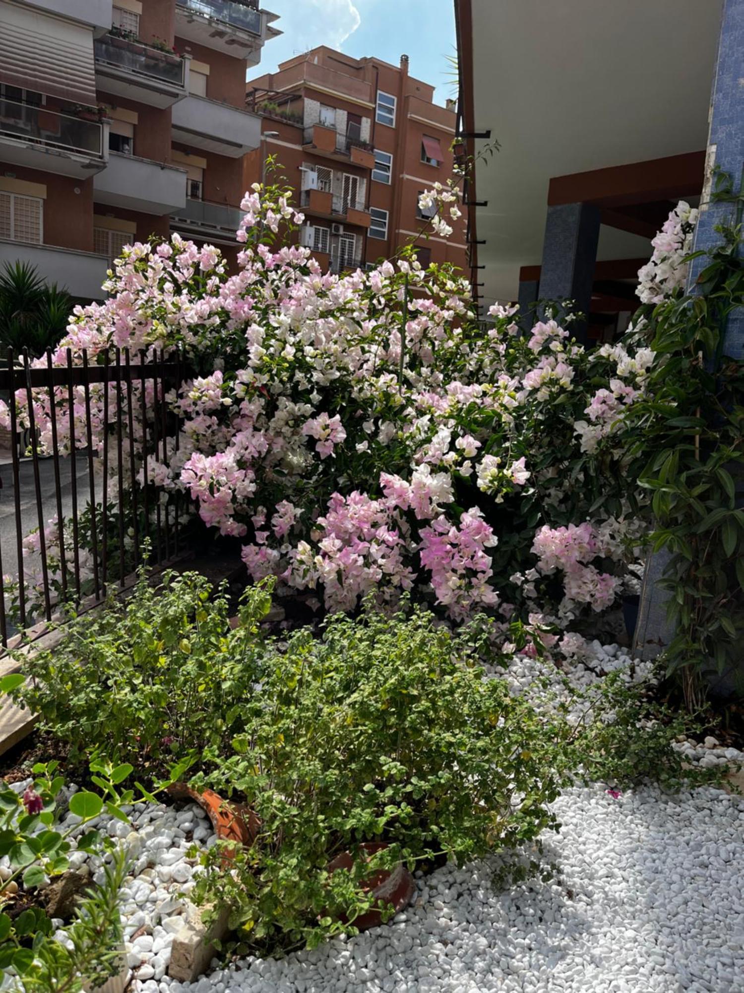 Casetta Romana 외부 사진
